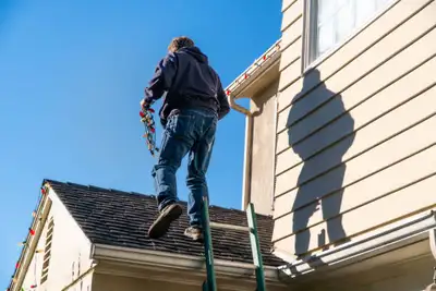 Fall cleanup / Roof repair / Christmas Light install, View more