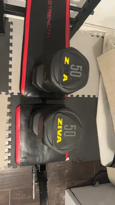 ZIVA 50 Pound Dumbbells, View more