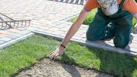 Hiring sod installers with truck/ trailers $32/hr , labors $22/h