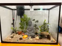 20 gallon fish tank with filter, heater and lot of deco.