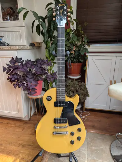 2009 Gibson Les Paul Special TV Yellow, View more