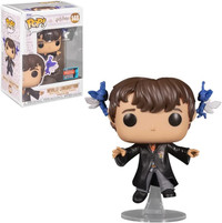 Funko Pop Harry Potter Wizarding World and Exclusive