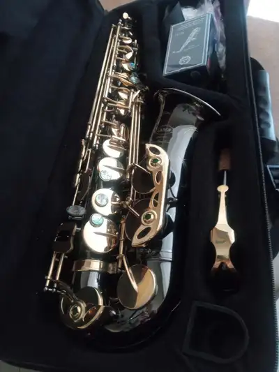 For sale ! Complete Alto Sax ! Brand new! Brass and blackened brass ! Great contrast ! With case and...