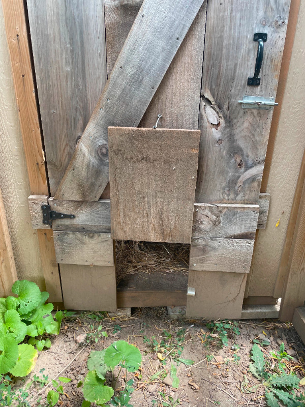 Chicken Coop for Sale in Livestock in Mississauga / Peel Region - Image 3