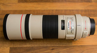 canon EF 300 f4 L IS USM telephoto