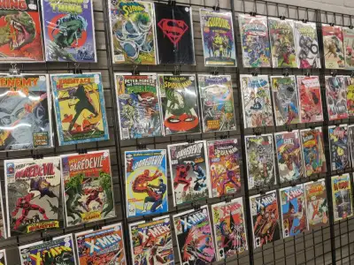 Sunday May 31st Woodstock Toy  & Collectibles Expo, View more