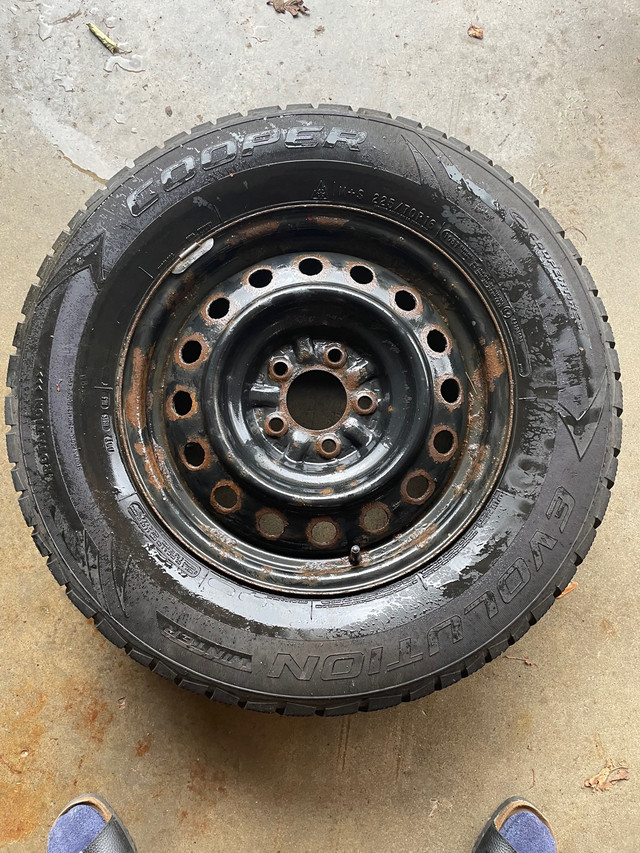 Winter tires on rims - full set  in Tires & Rims in Dartmouth