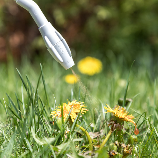 Professional Weed Control Service - MWC in Lawn, Tree Maintenance & Eavestrough in Mississauga / Peel Region - Image 2