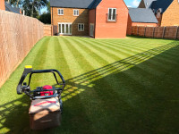 Summer maintenance- Grass cut