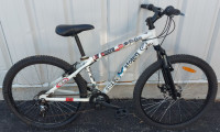 21 SPEED HARDTAIL MOUNTAIN BIKE