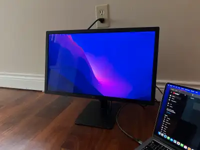 This is a one of a kind monitor. 4096x2304 resolution at 21.5” gives it exceptional clarity (219 ppi...