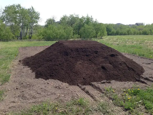 PREMIUM SCREENED TOPSOIL $25/yrd in Plants, Fertilizer & Soil in Saskatoon - Image 9