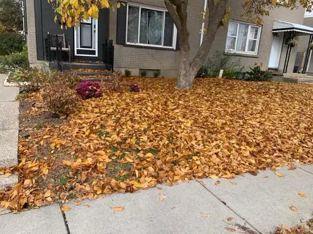 fall clean up/ grass cutting 63815759555459124