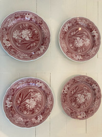 Botanical Design Plate Dish Spode archive 4 Collection Georgian