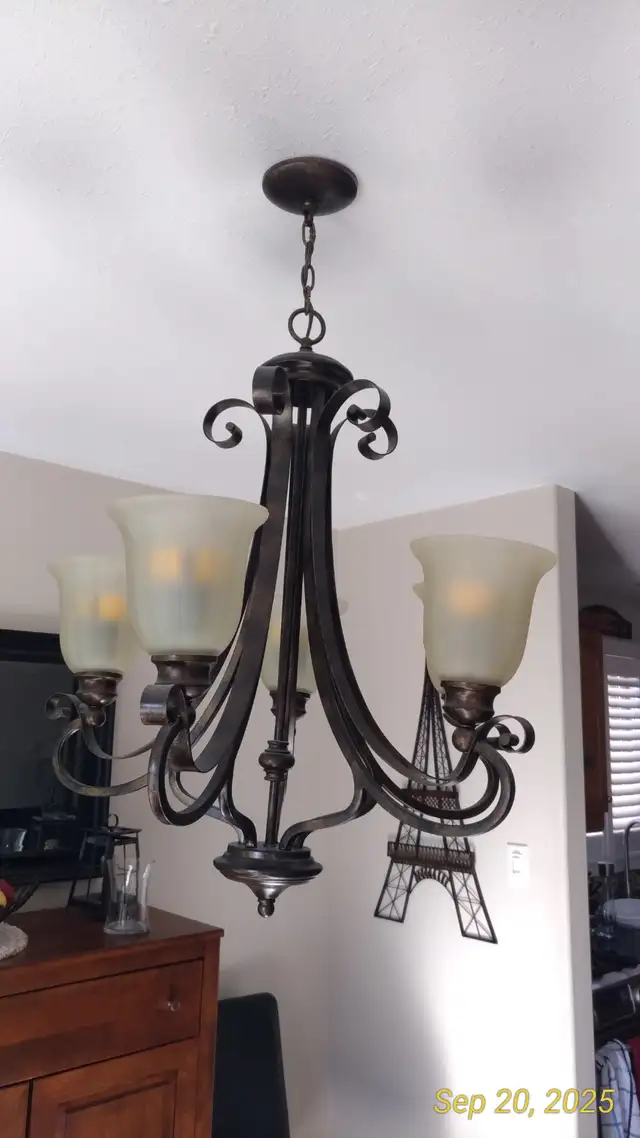 Large Chandelier in Indoor Lighting & Fans in Hamilton - Image 3