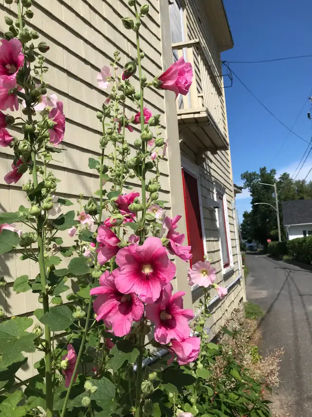 Maison de campagne entièrement équipée in Quebec in Canada - Image 10