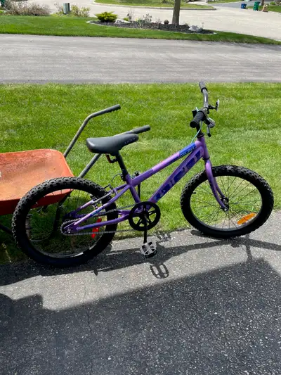 20in Galaxy bike like new barely used, View more