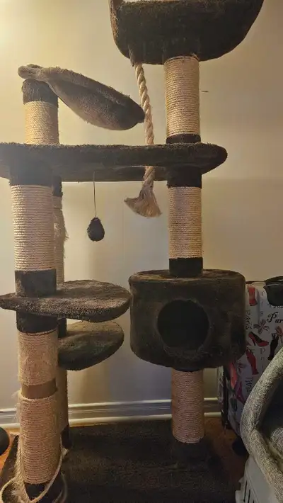 Arbre à chat et accessoires / Cat tree and accessories, View more