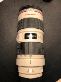 Canon EF 70-200 f2.8 (Mark I)
