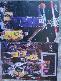 LeBron James posters High quality 