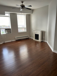 ONE BEDROOM DOWNTOWN WINDSOR - CLEAN AND SAFE