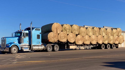Livestock & equipment hauling 