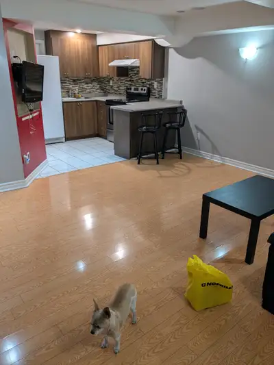 Verynice and clean basement apartment for rent. Close to all amenities