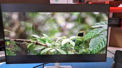 Dell S2425H Monitor - 23.8-inch Full HD (1920x1080) 8Ms 100Hz , View more