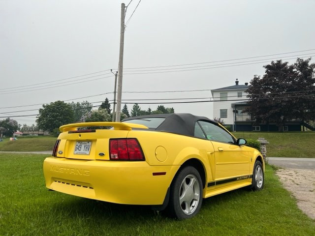 2002 Ford mustang décapotable dans Autos et camions  à Gaspésie - Image 2