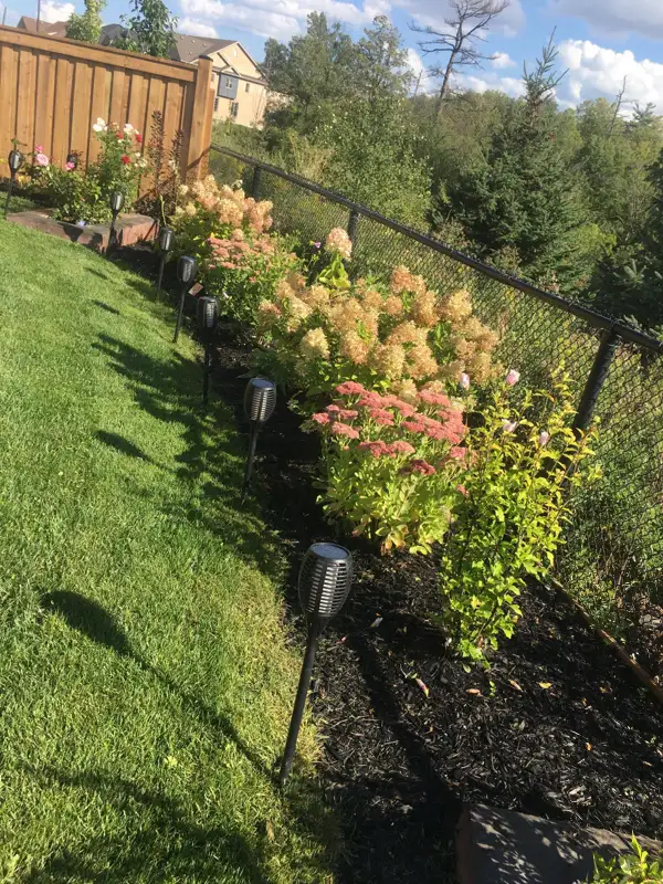✅ Landscaping GTA63235482312705121