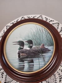 Vtg The Loon Voice of the North “Keeping Them Safe” Framed Plate