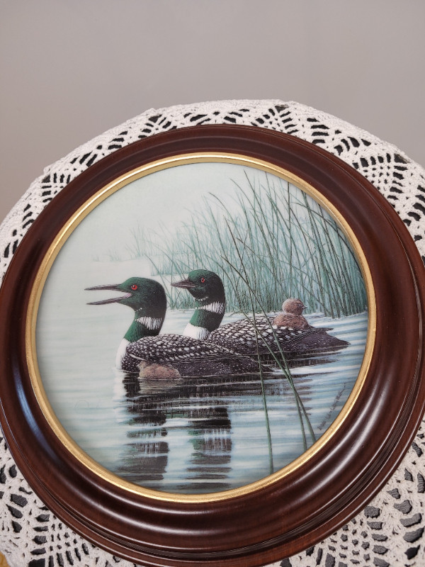 Vtg The Loon Voice of the North “Keeping Them Safe” Framed Plate in Arts & Collectibles in Dartmouth