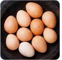 Guinea hatching eggs