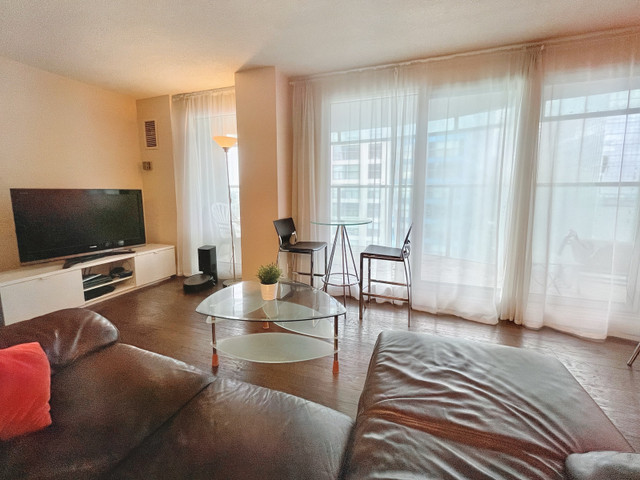 Fully Furnished 700 sq ft. Luxury Harbourfront Condo for rent  in Long Term Rentals in City of Toronto