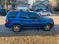 2011 ford escape 