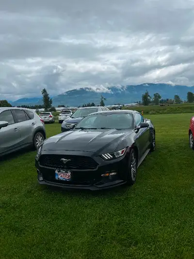 2016 ford mustang eco boost