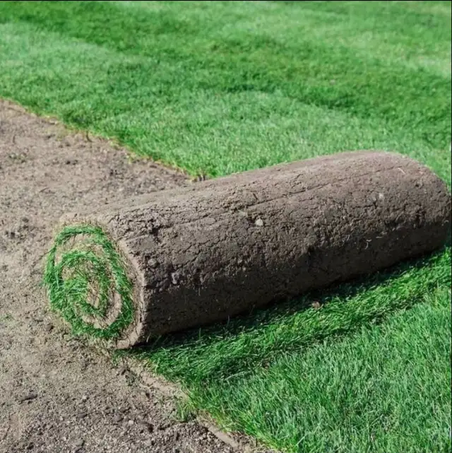 Sod installation 459814331398891520