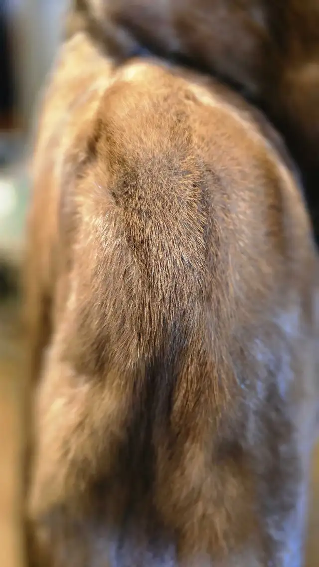 MAGNIFIQUE  MANTEAU DE VISON in Women's - Tops & Outerwear in Granby - Image 4