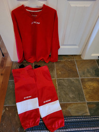 Medium adult hockey jersey or  Detroit Red Wing socks $15