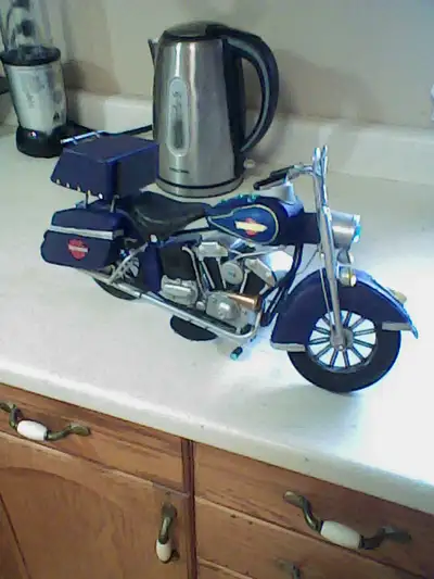 Bought from Sobeys grocery store added tour pack oil and fuel lines repainted added light bar suicid...