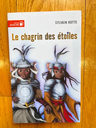 LIVRE ENFANT 9/12 ans * LE CHAGRIN DES ÉTOILES * ROMAN de SYLVAI, View more
