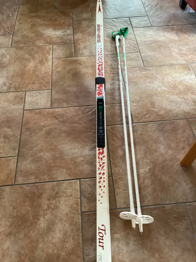 Cross country skis and iron