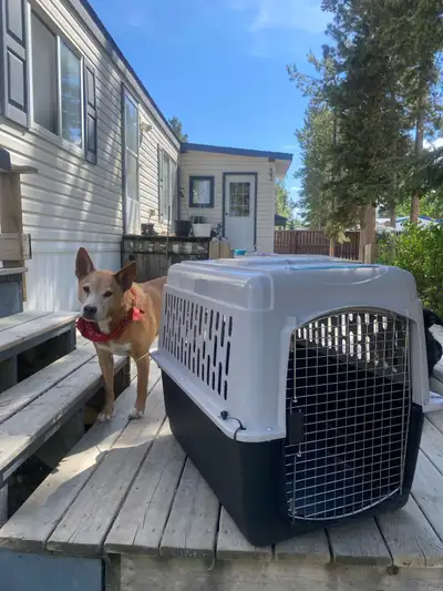 large dog kennel approved in plane, View more