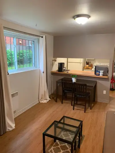 Appartement 3 1/2 à louer (ville Lasalle)