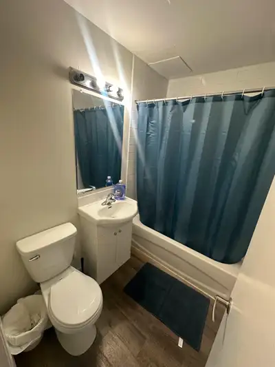 Looking for a Roommate: Den Room in Central Calgary – Available