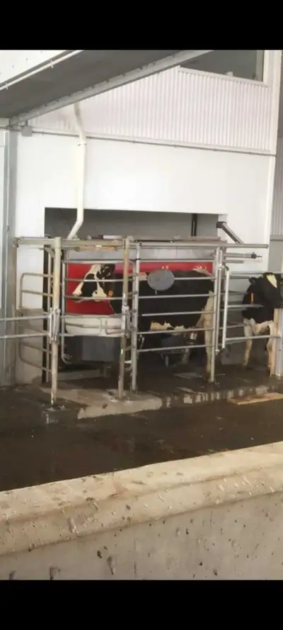 Lely A4 robot, View more