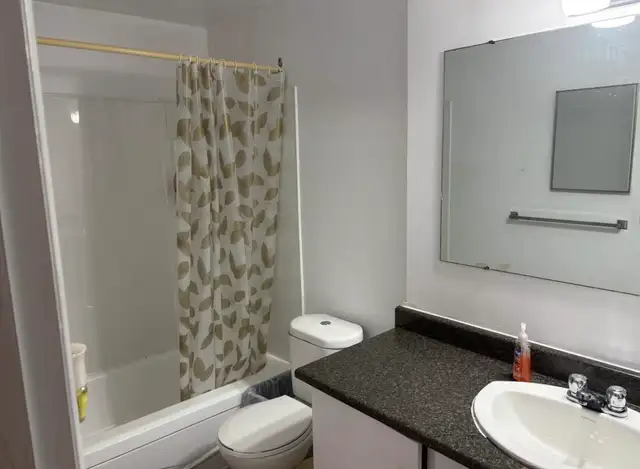 Room for rent in shared house in Room Rentals & Roommates in Ottawa - Image 3