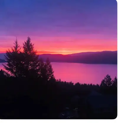 Amazing lake view walkout basment suite. 1500 ft.² two bedroom two bathroom pet friendly unit (with...