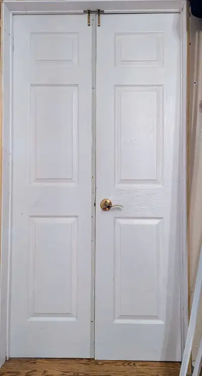 20x80 Hollow Core doors, 1 or 2, View more