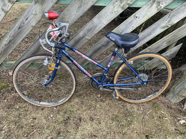 Bike- 10 Speed in Mountain in Kawartha Lakes - Image 2